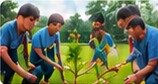 Tree plantation drive